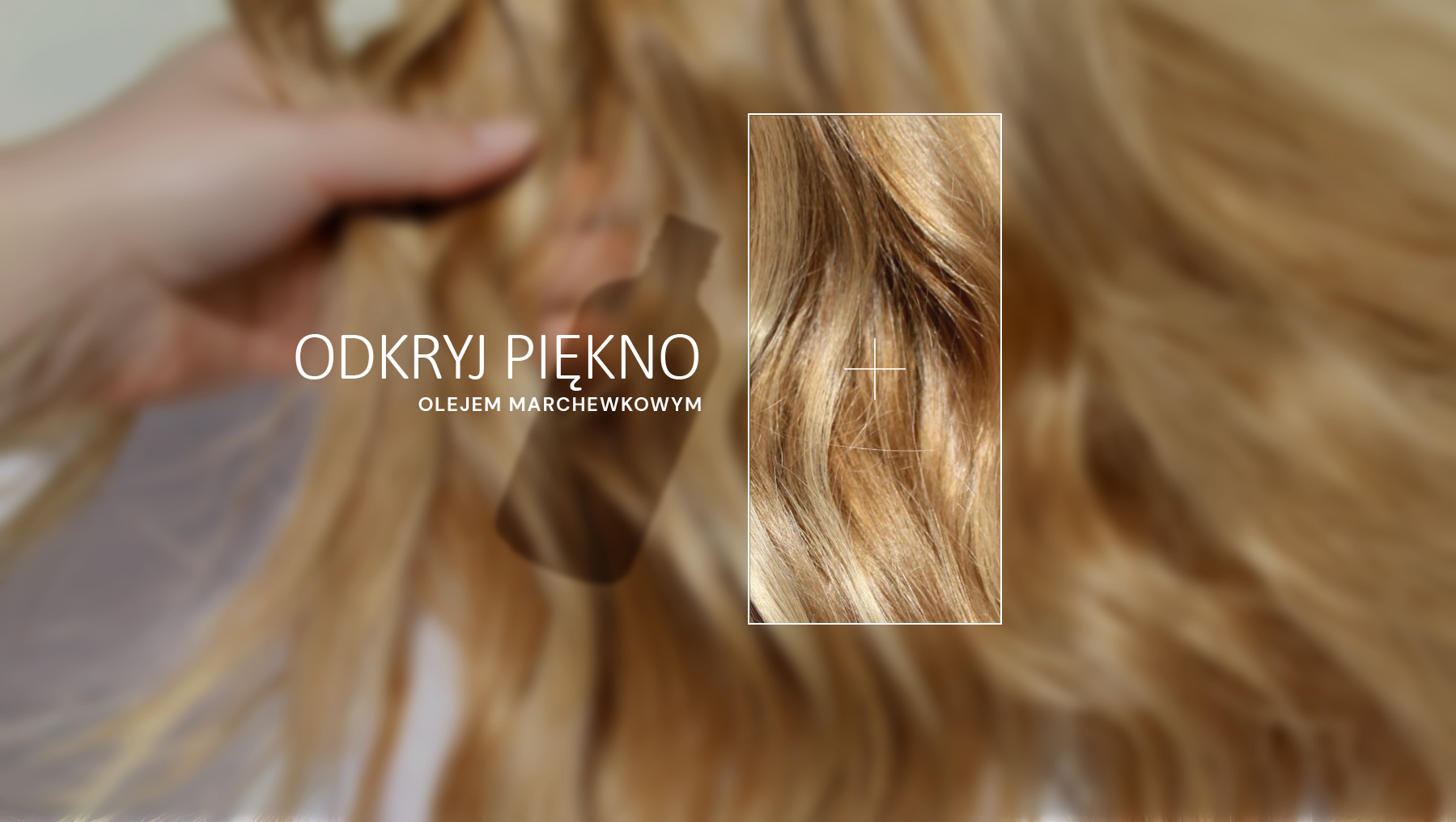 olej-marchewkowy-wenatural-do-włosów-2